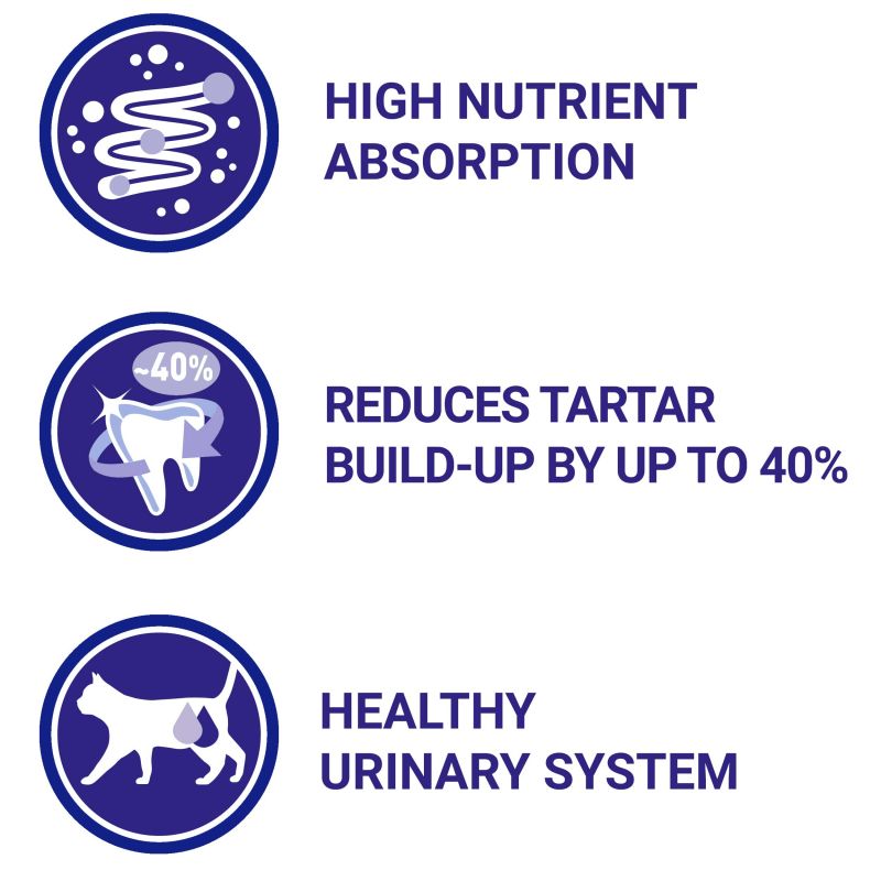 Purina - One Adult Salmon