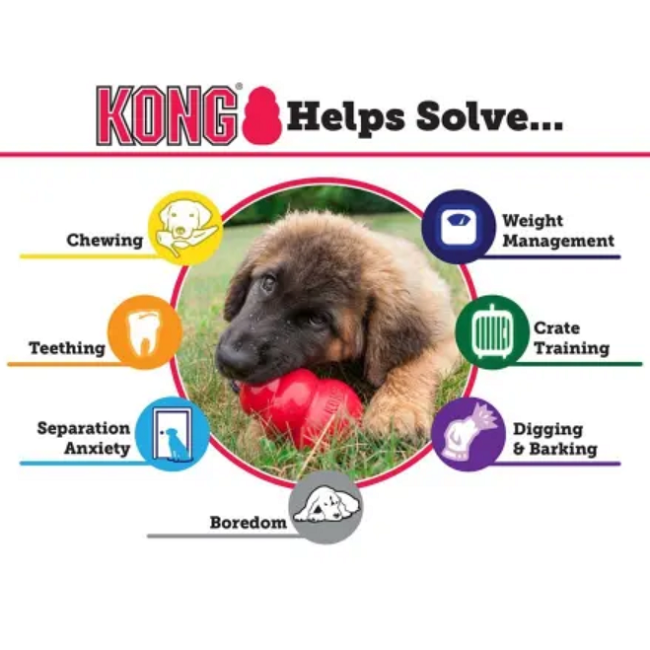 KONG - Classic