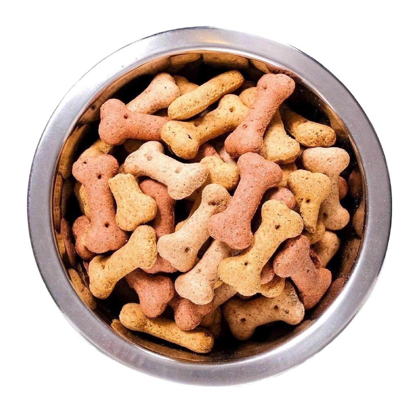 Pointer - Assorted Mini Bones