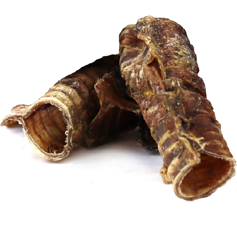 T.Forrest - Dried Trachea