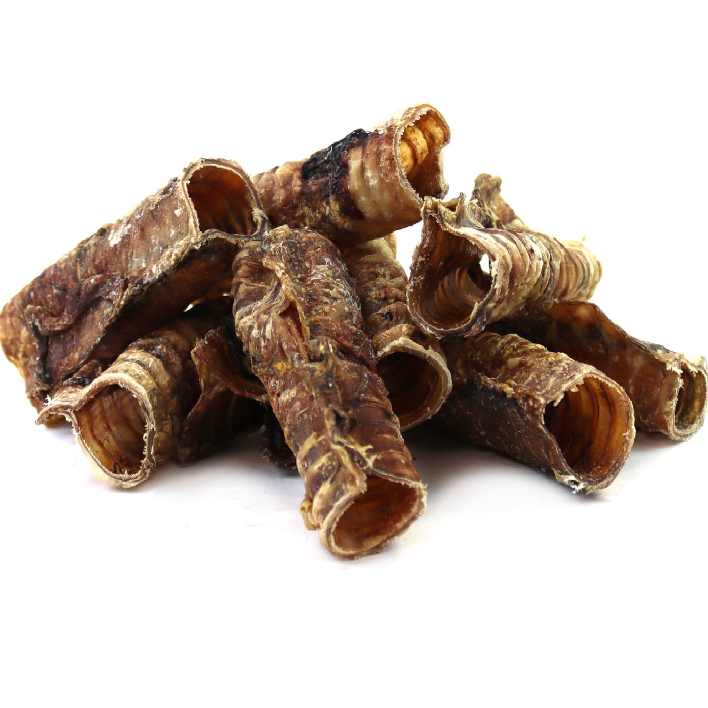 T.Forrest - Dried Trachea