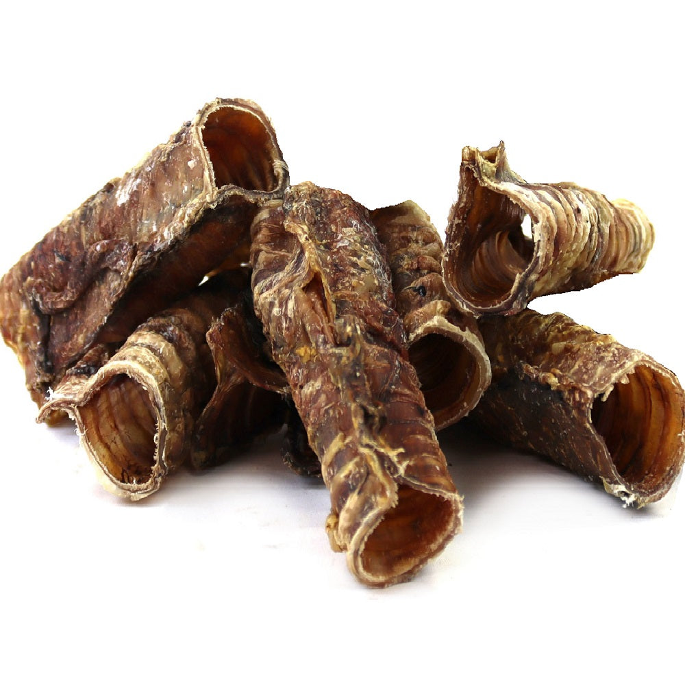 T.Forrest - Dried Trachea