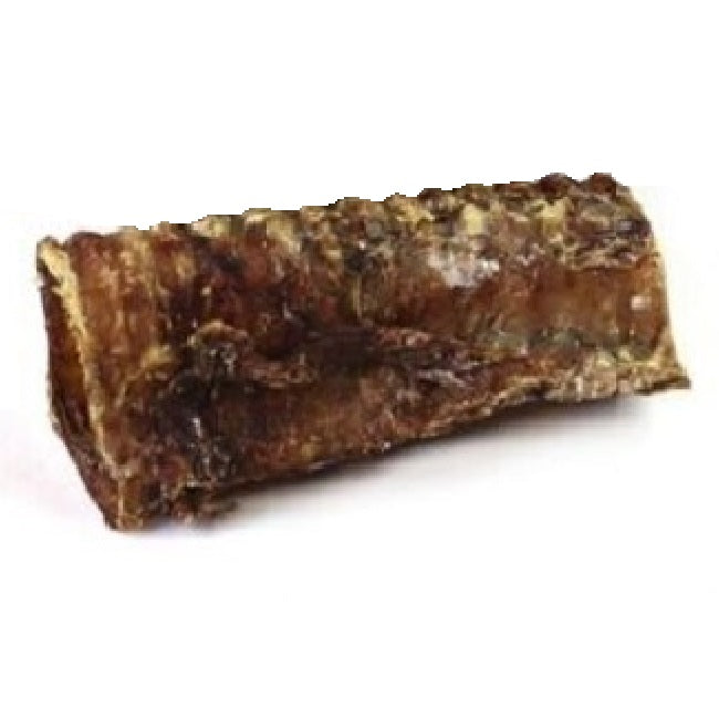 T.Forrest - Dried Trachea