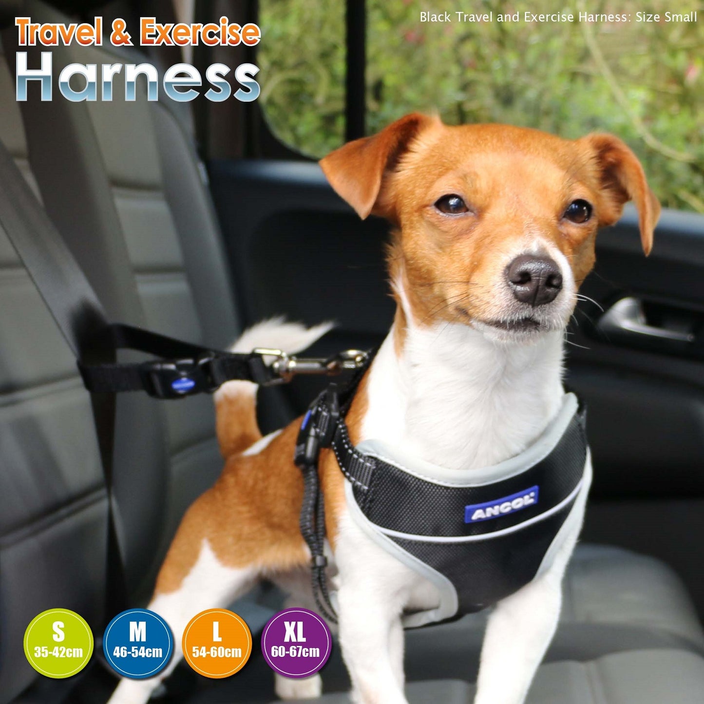 Ancol - Travel & Exercise Dog Harness