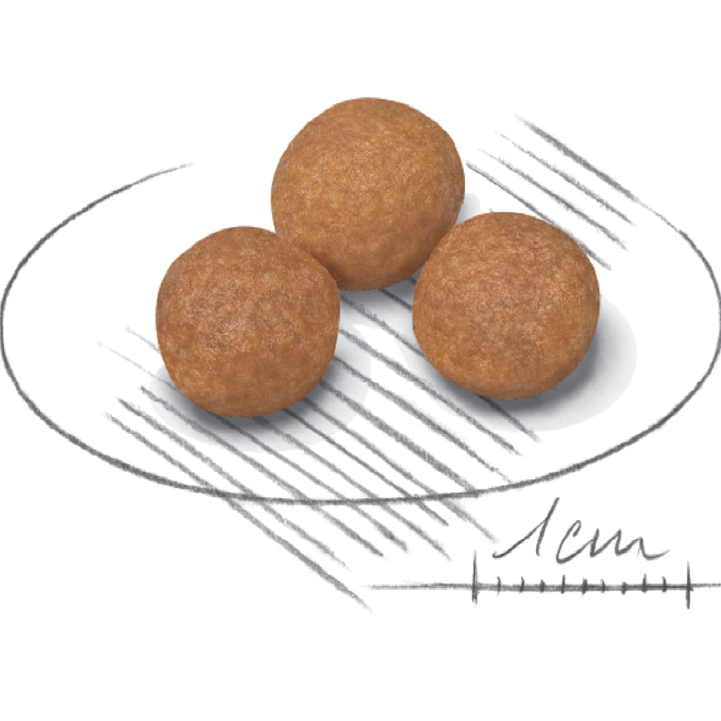 ROYAL CANIN - X-Small Adult 8+ (1.5kg)