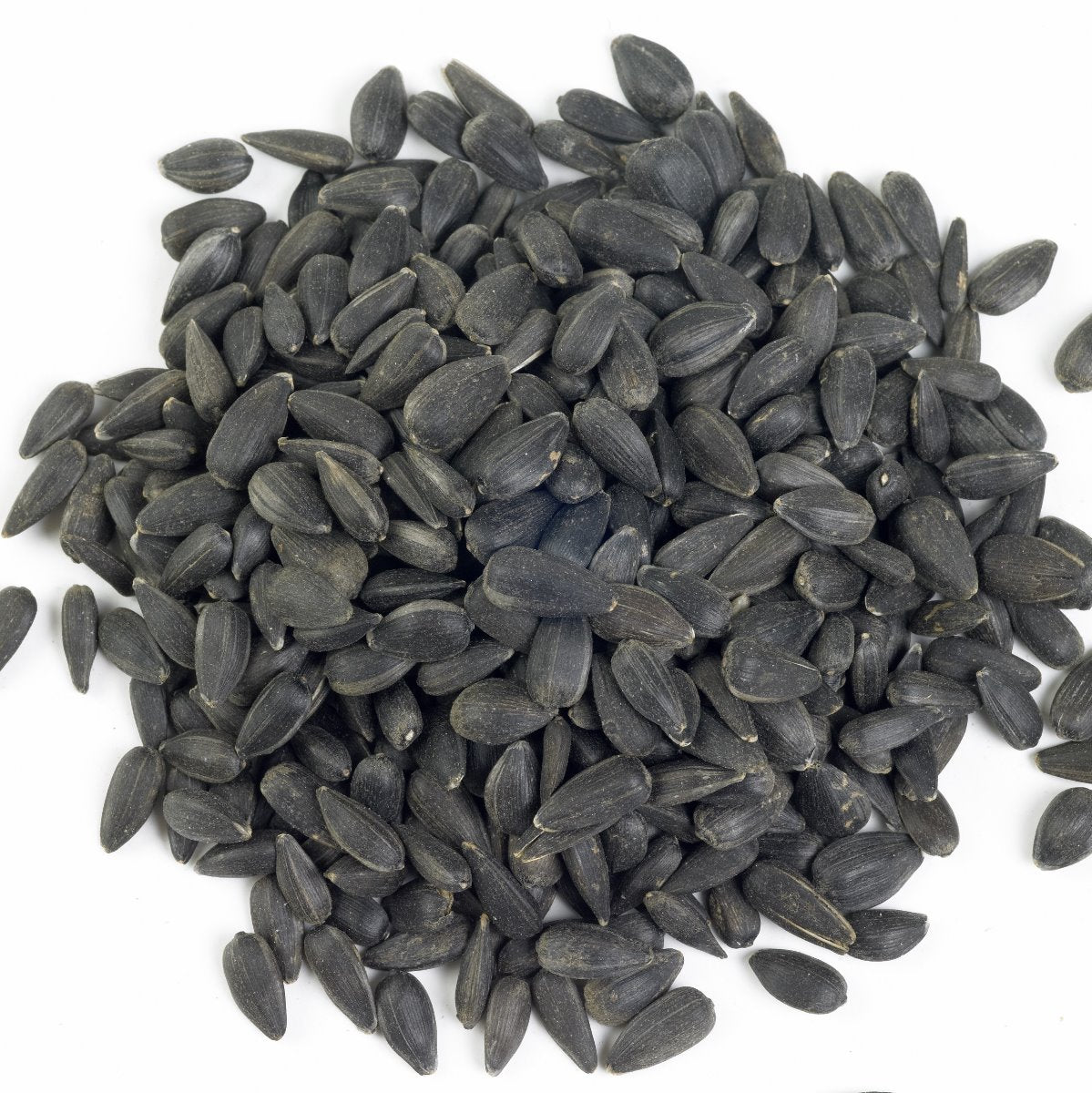 Johnston & Jeff - Black Sunflower Seed