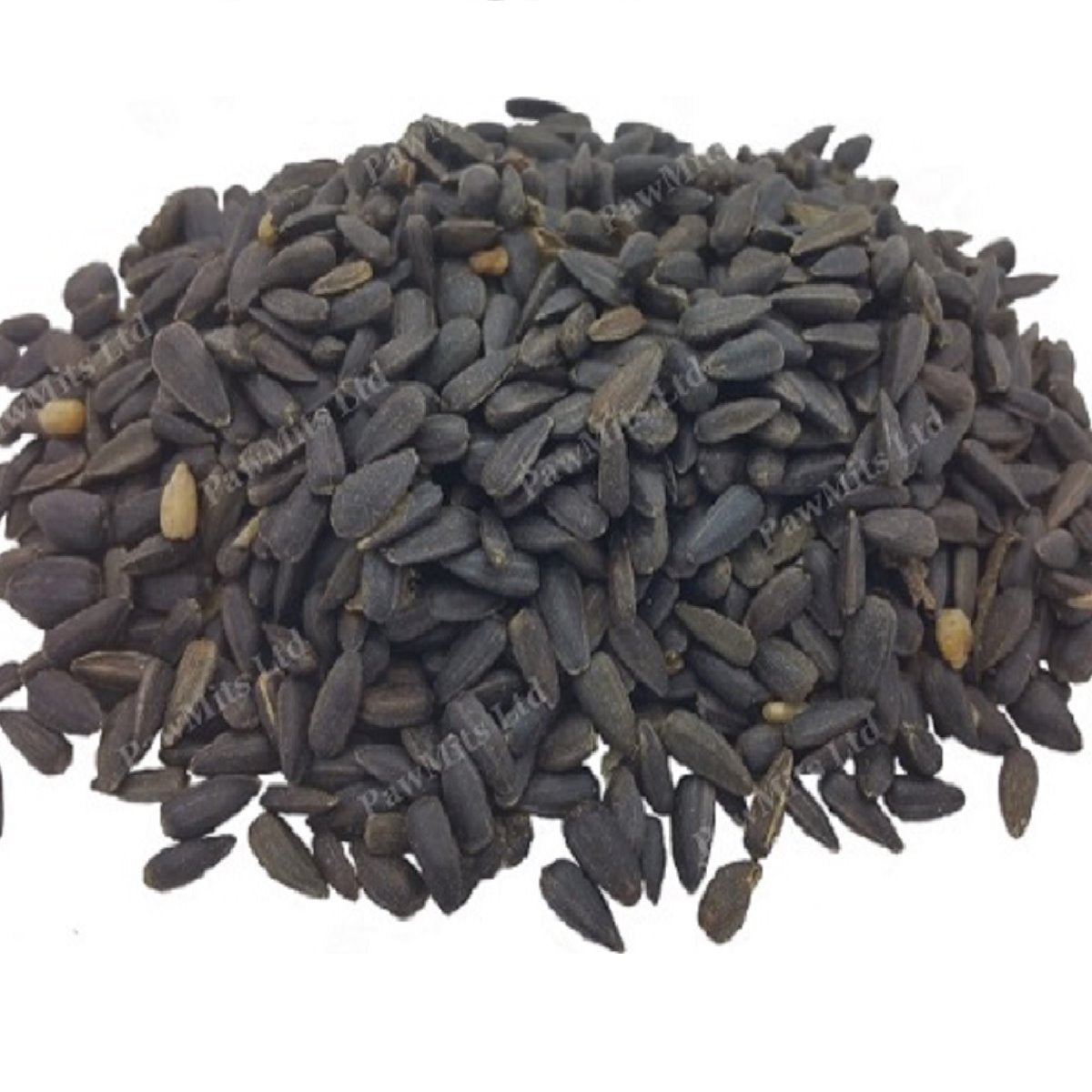 Johnston & Jeff - Black Sunflower Seed