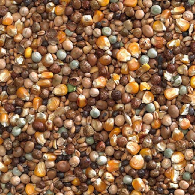 Bucktons - Pigeon High Protein Economy (20kg)