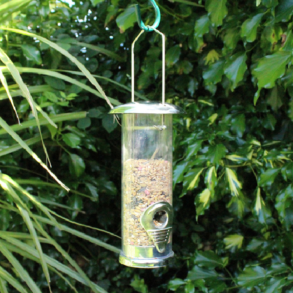 Seed Feeders