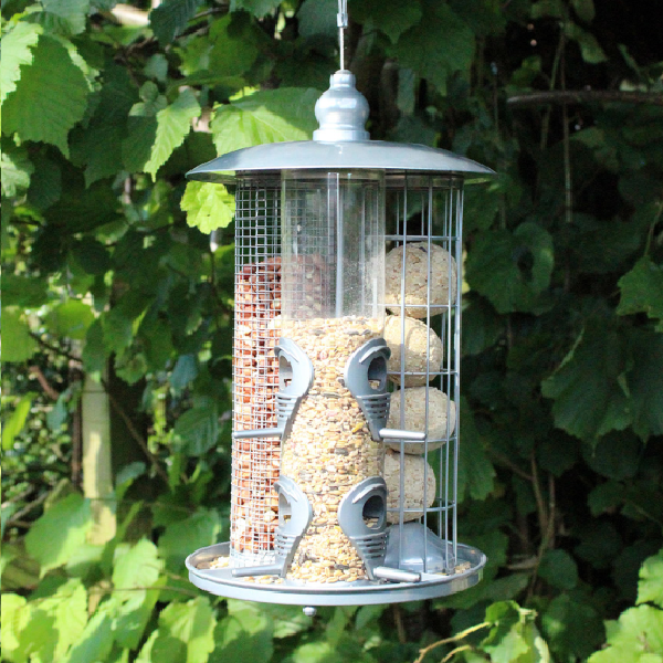 Deluxe Lantern Feeder