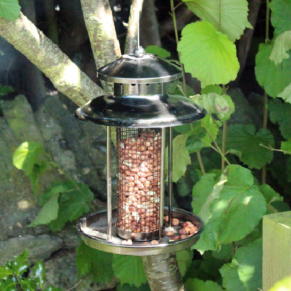 Deluxe Lantern Feeder
