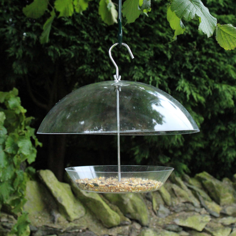 Dome Feeder