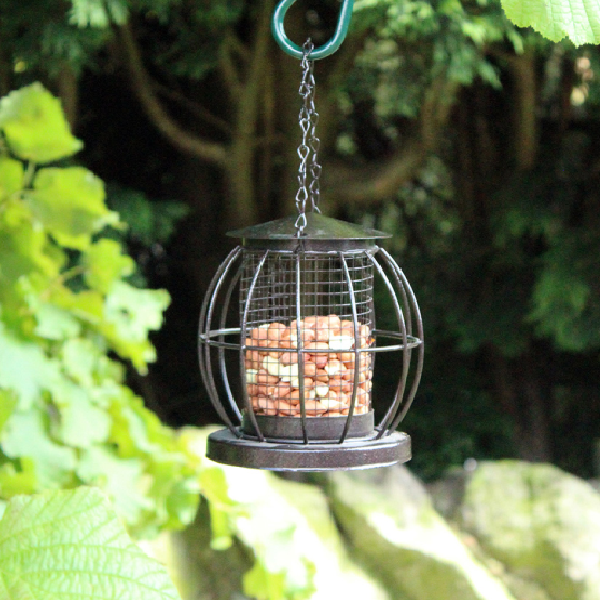 Mini Lantern Feeder