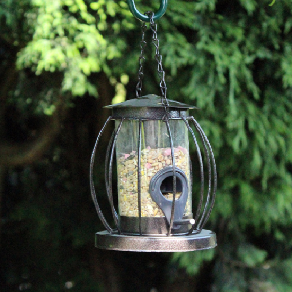 Mini Lantern Feeder