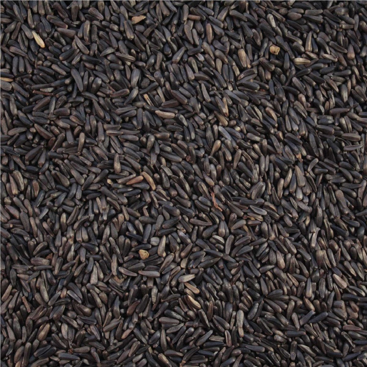 Marriages - Niger / Nyjer Seed