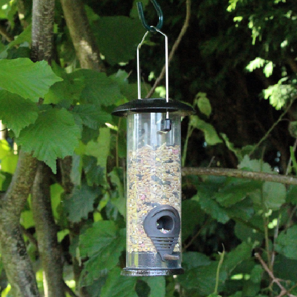 Seed Feeders