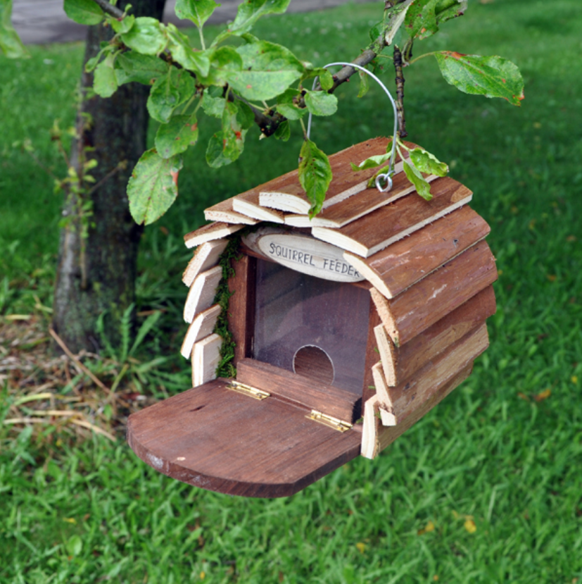 Natures Market - Squirrel Hotel