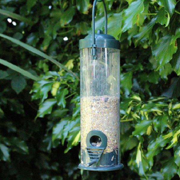 Seed Feeders