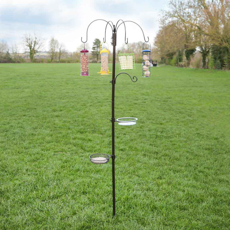 Natures Market - Feeding Station