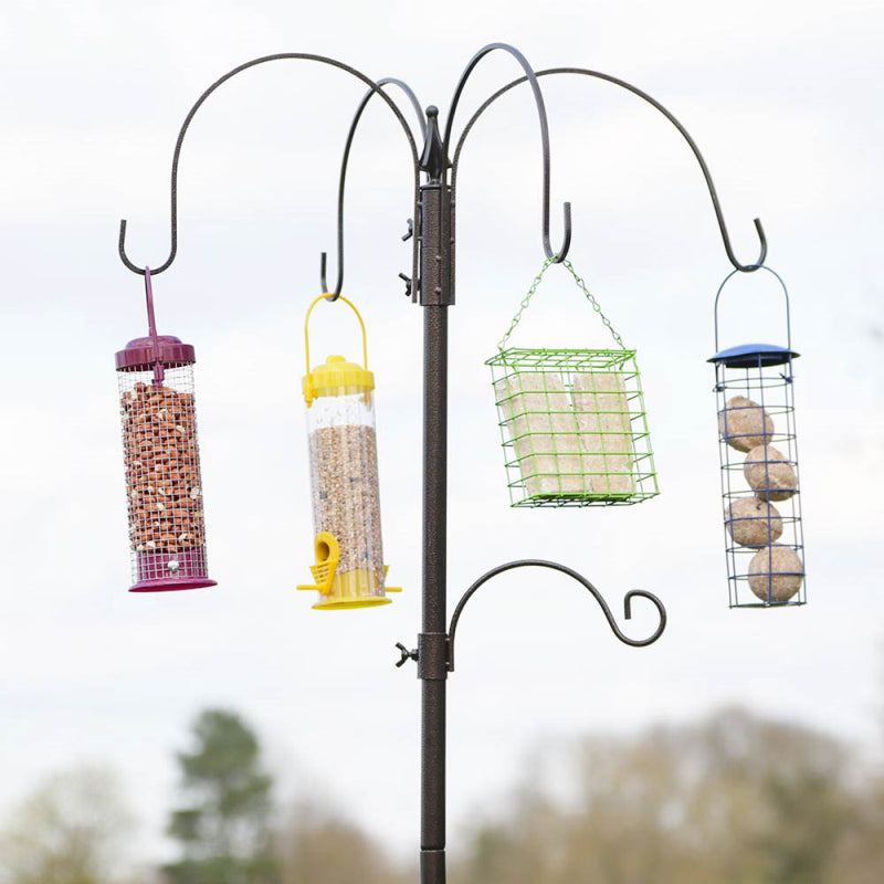 Natures Market - Feeding Station