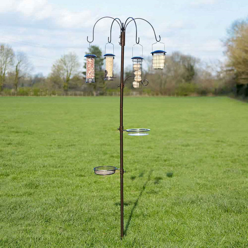 Natures Market - Feeding Station