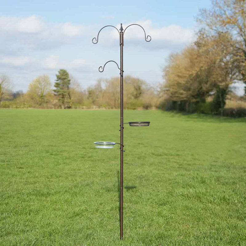 Natures Market - Feeding Station
