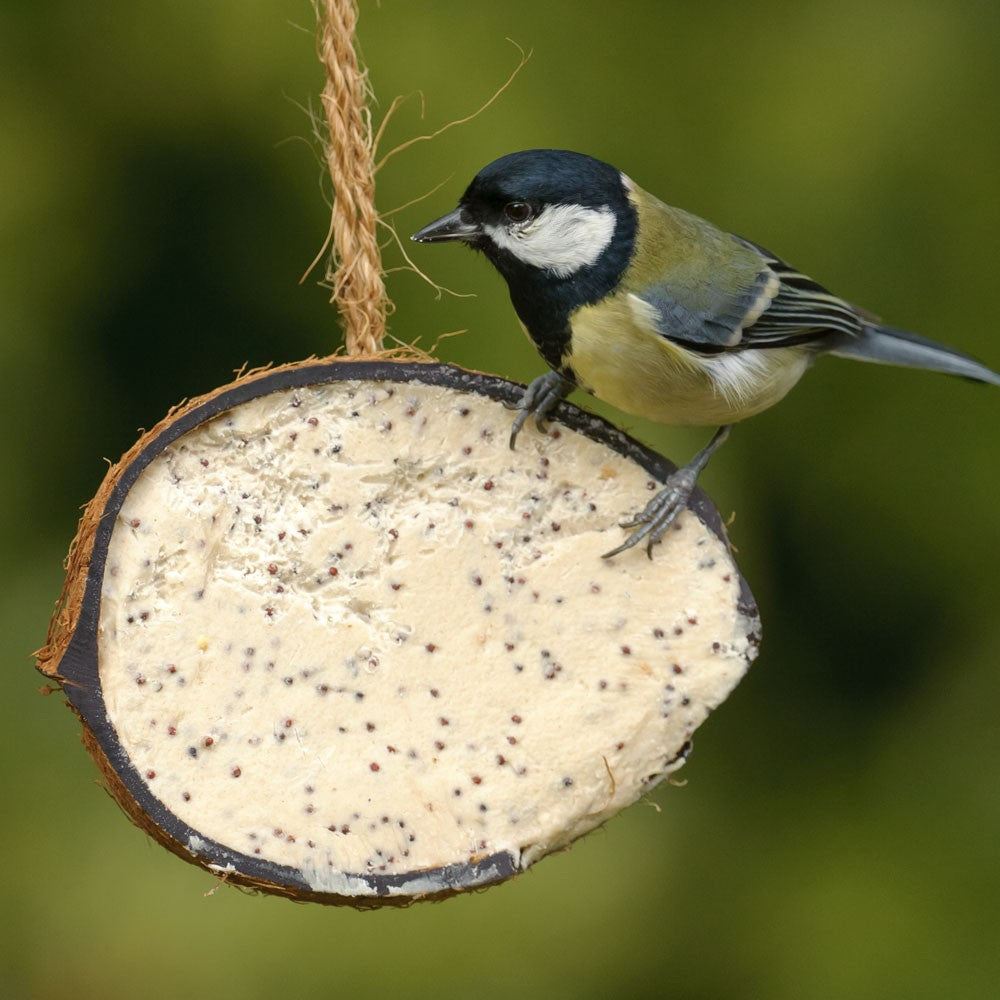 Suet To Go - Suet Half Coconut