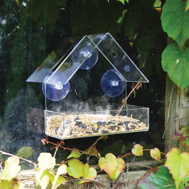 Window Feeder