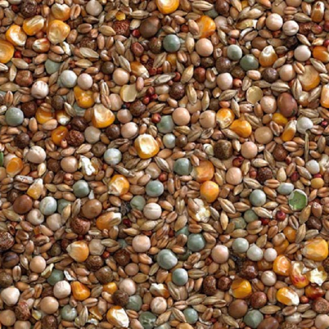 Bucktons - Pigeon Winter Economy Mix (20kg)