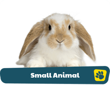 Small animal