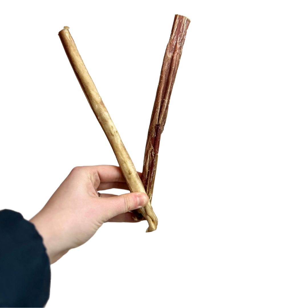 Large Bull Pizzles - 24cm (1kg) Mixed Sizes