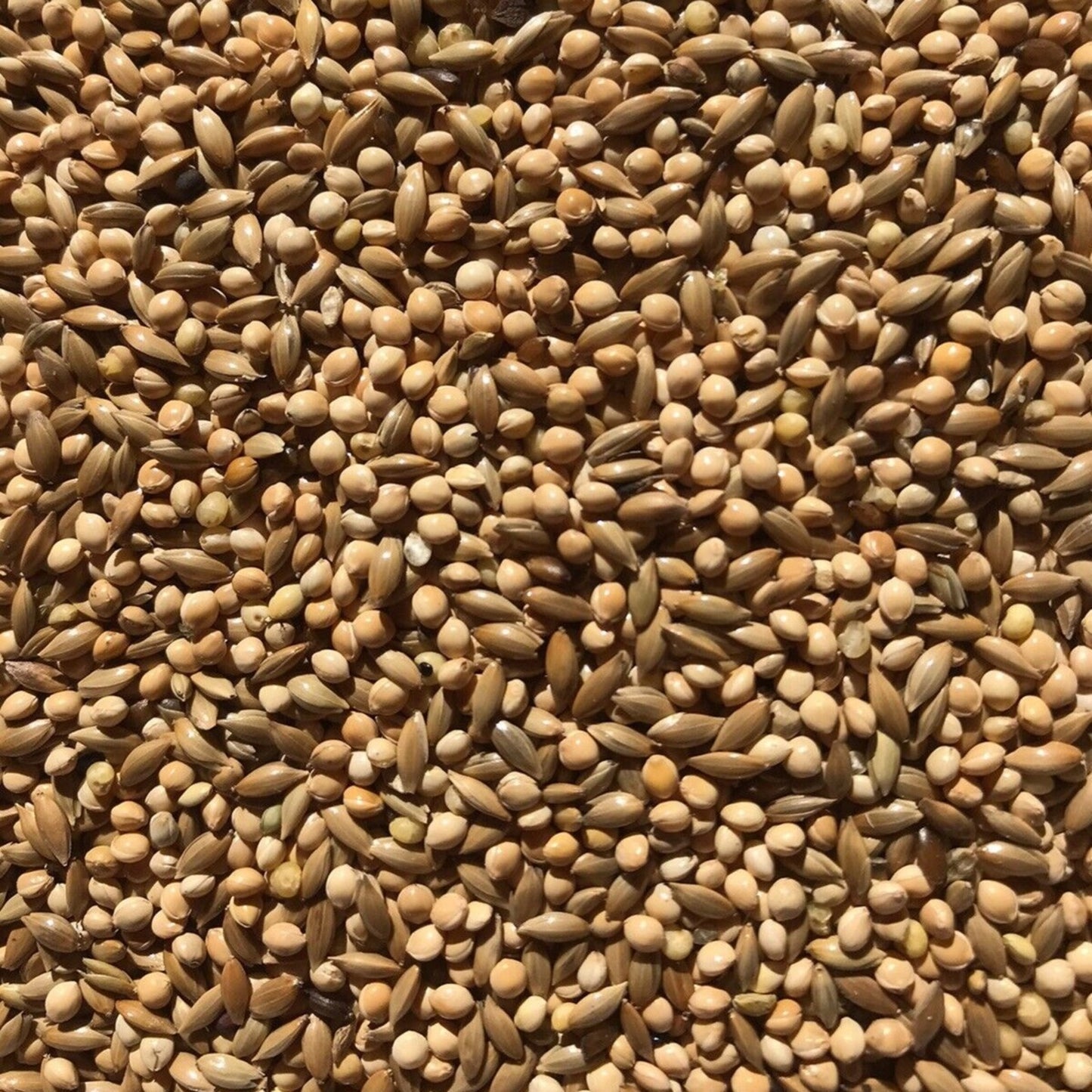 BestPets - 50/50 Budgie Seed (20kg)