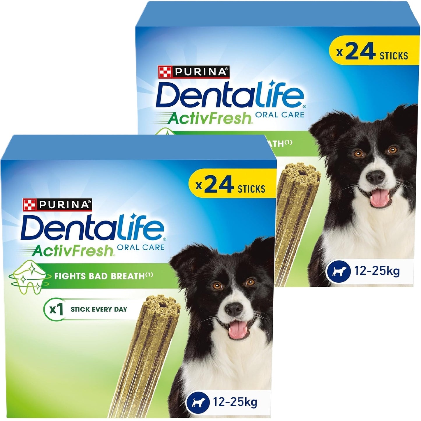 Purina - Dentalife ActivFresh (Medium Dog)
