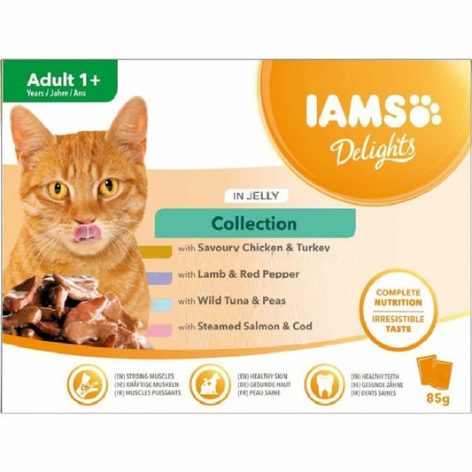 Iams Delights - Adult 1+ Cat in Jelly (8 x 85g)