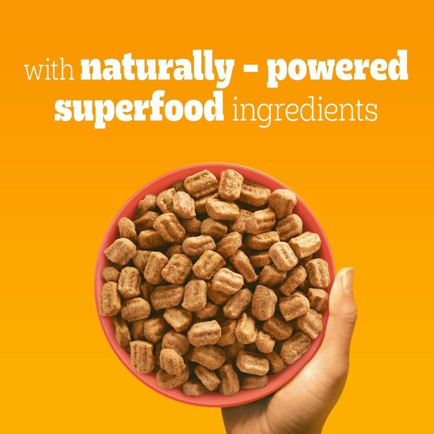 Pedigree - Adult Poultry & Vegetables