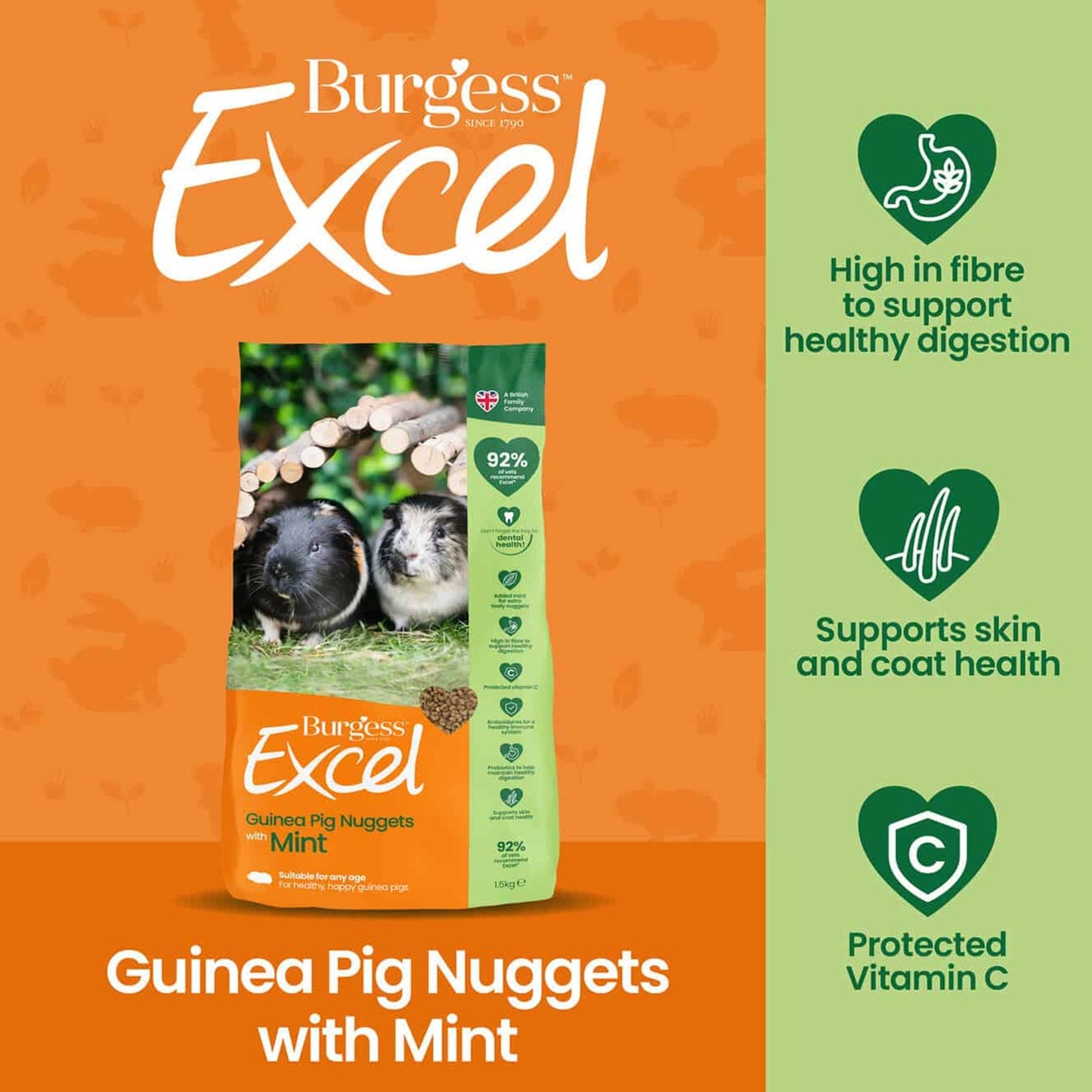 Burgess - Excel Guinea Pig Nuggets