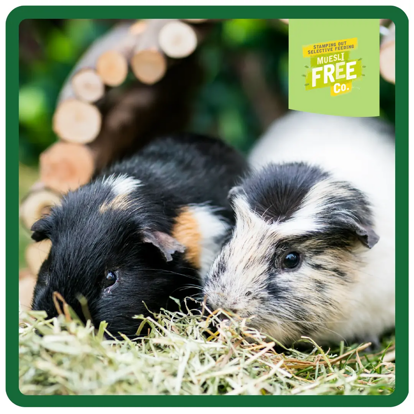 Burgess - Excel Guinea Pig Nuggets