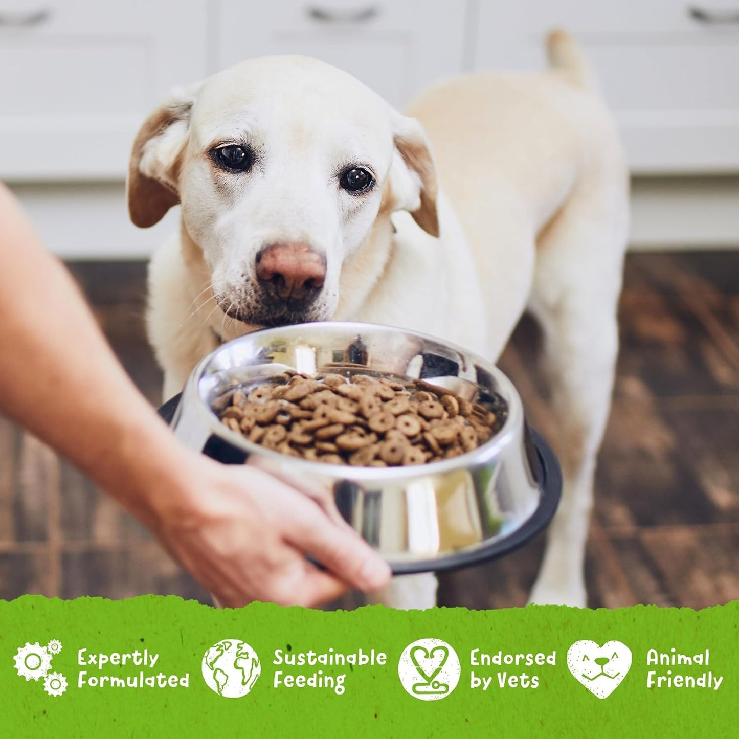 Benevo - Original Vegan Dog Food