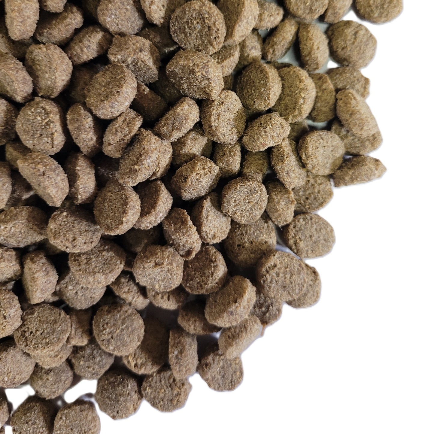 PawMits - Premium Adult Turkey & Rice (Wheat Free)