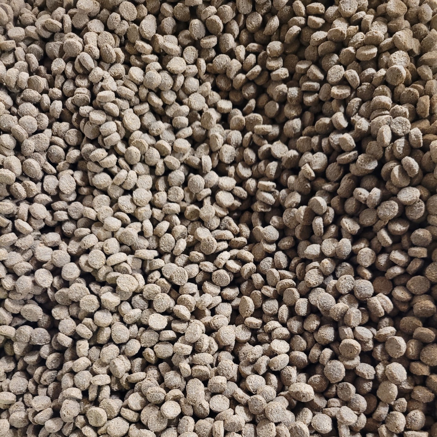 PawMits - Premium Adult Turkey & Rice (Wheat Free)