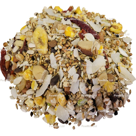 Johnston & Jeff - African Grey Low Sunflower