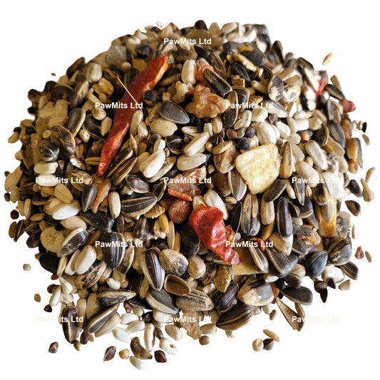 Parrot - Macaws & African Greys