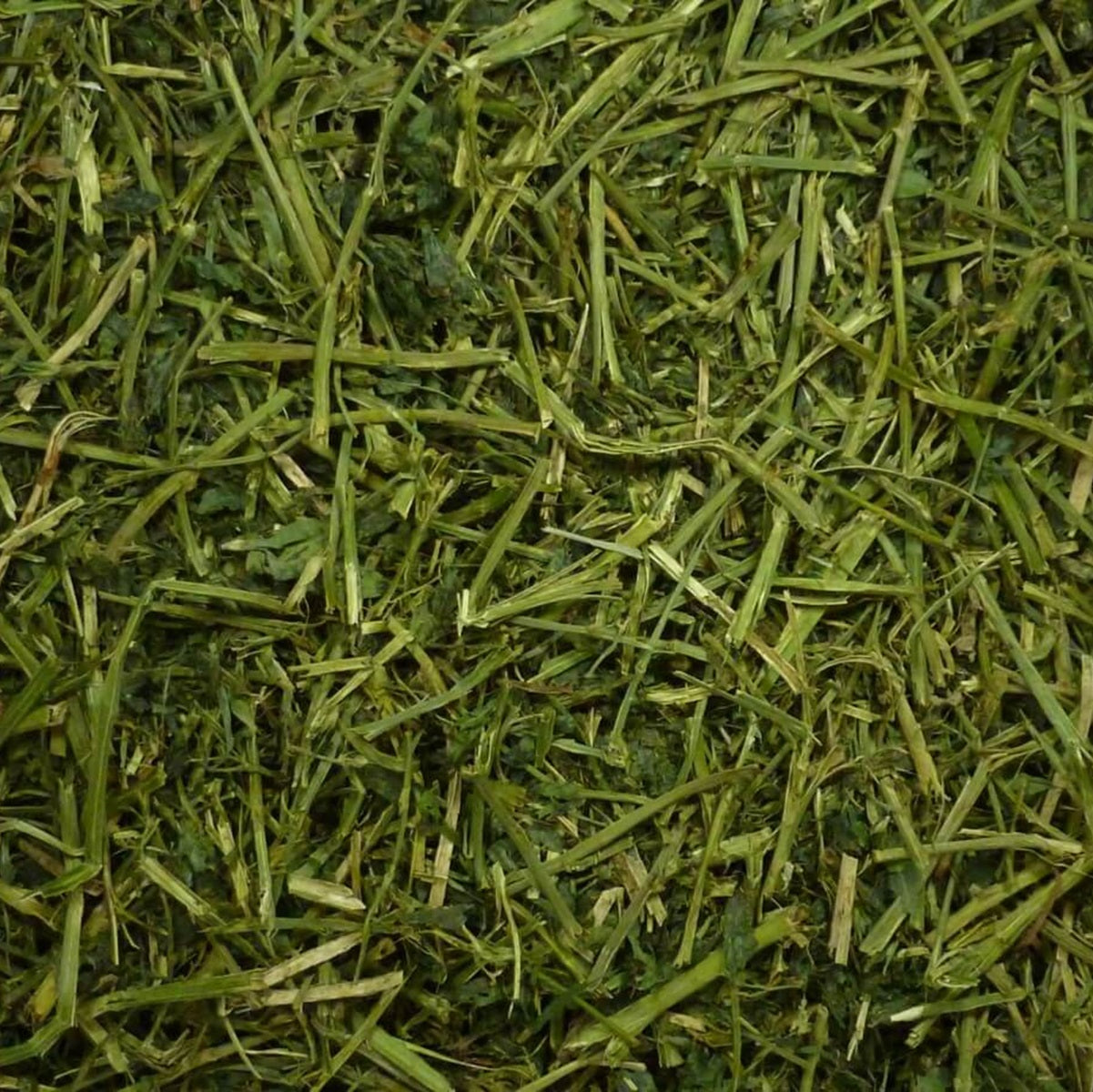 Friendly - Alfalfa ReadiGrass (1kg)