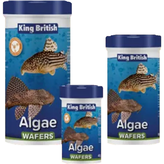 King British - Algae Wafers