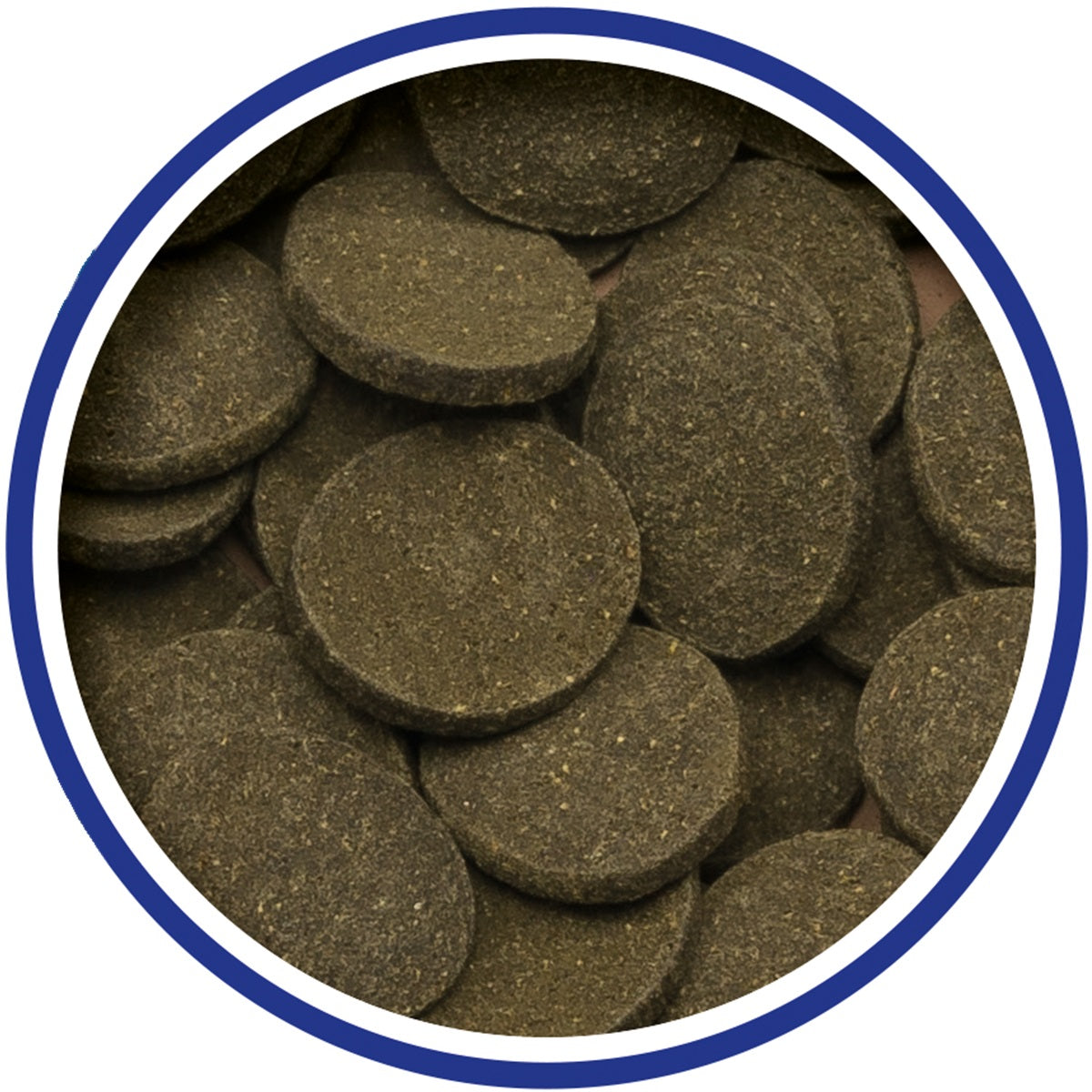 King British - Algae Wafers