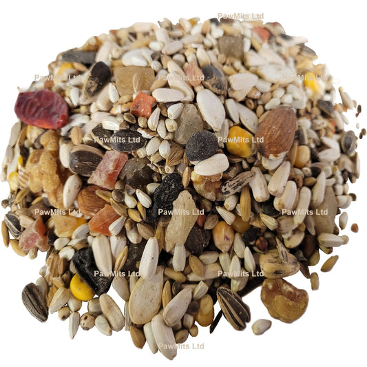 Parrot - Superior Amazon, Pionuis, Cockatoos & Poicephalus