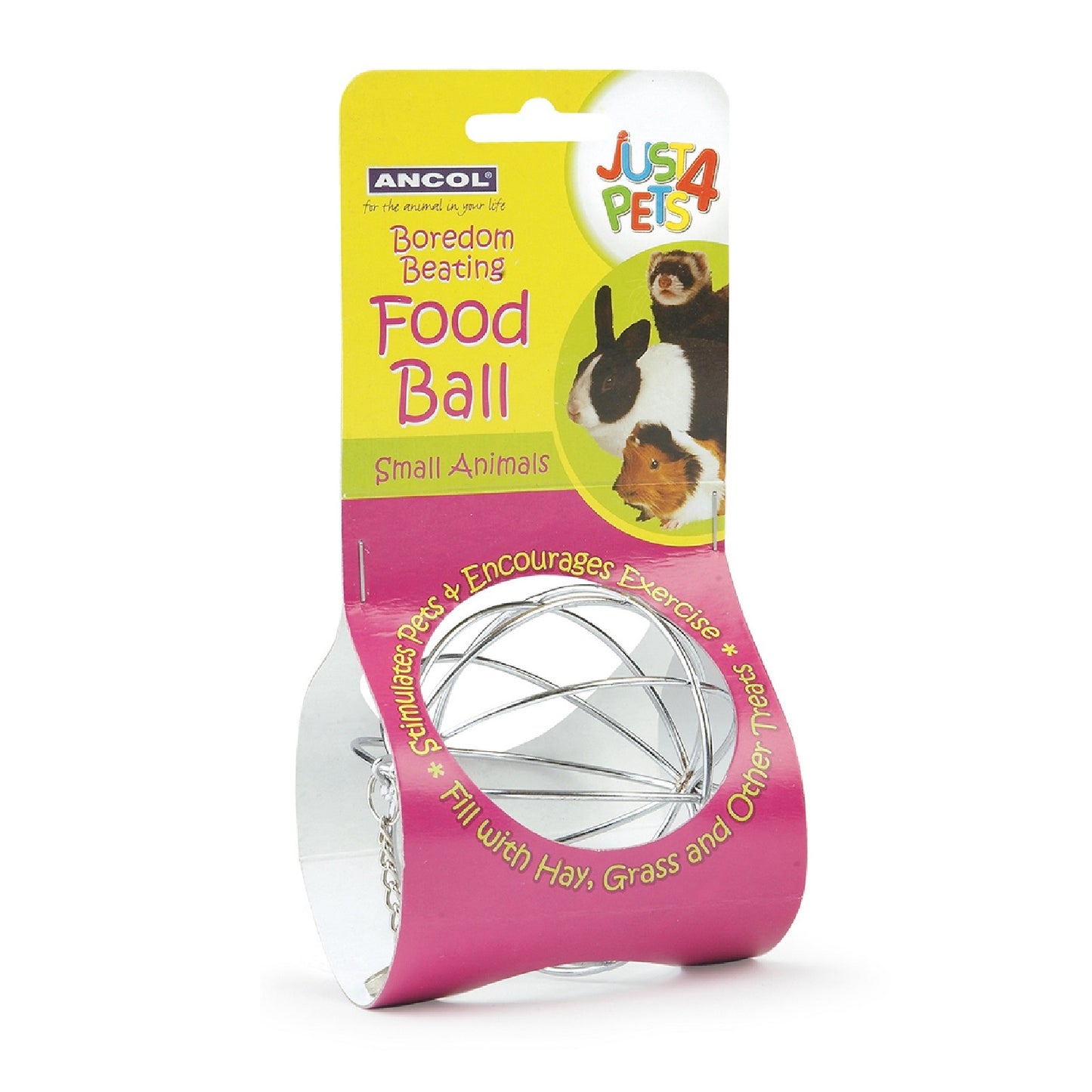 Ancol - Small Animal Food Ball