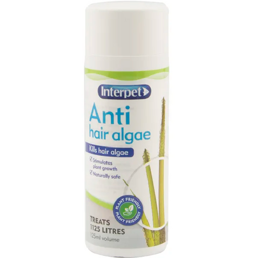 Interpet - Anti Hair Algae (125ml)