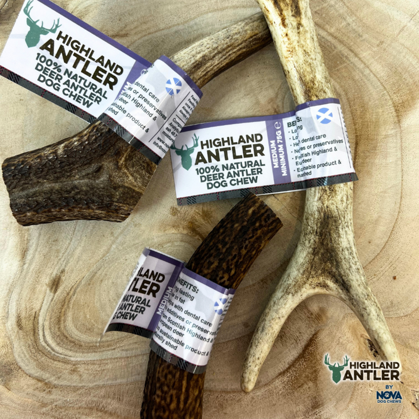 Highland Antler - Deer Antlers