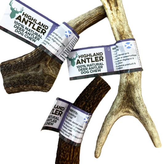 Highland Antler - Deer Antlers